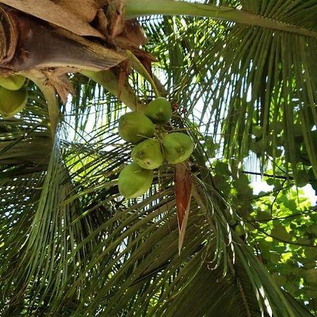 Tiwi Beach Resort & Spa Mombasa Bagian luar foto