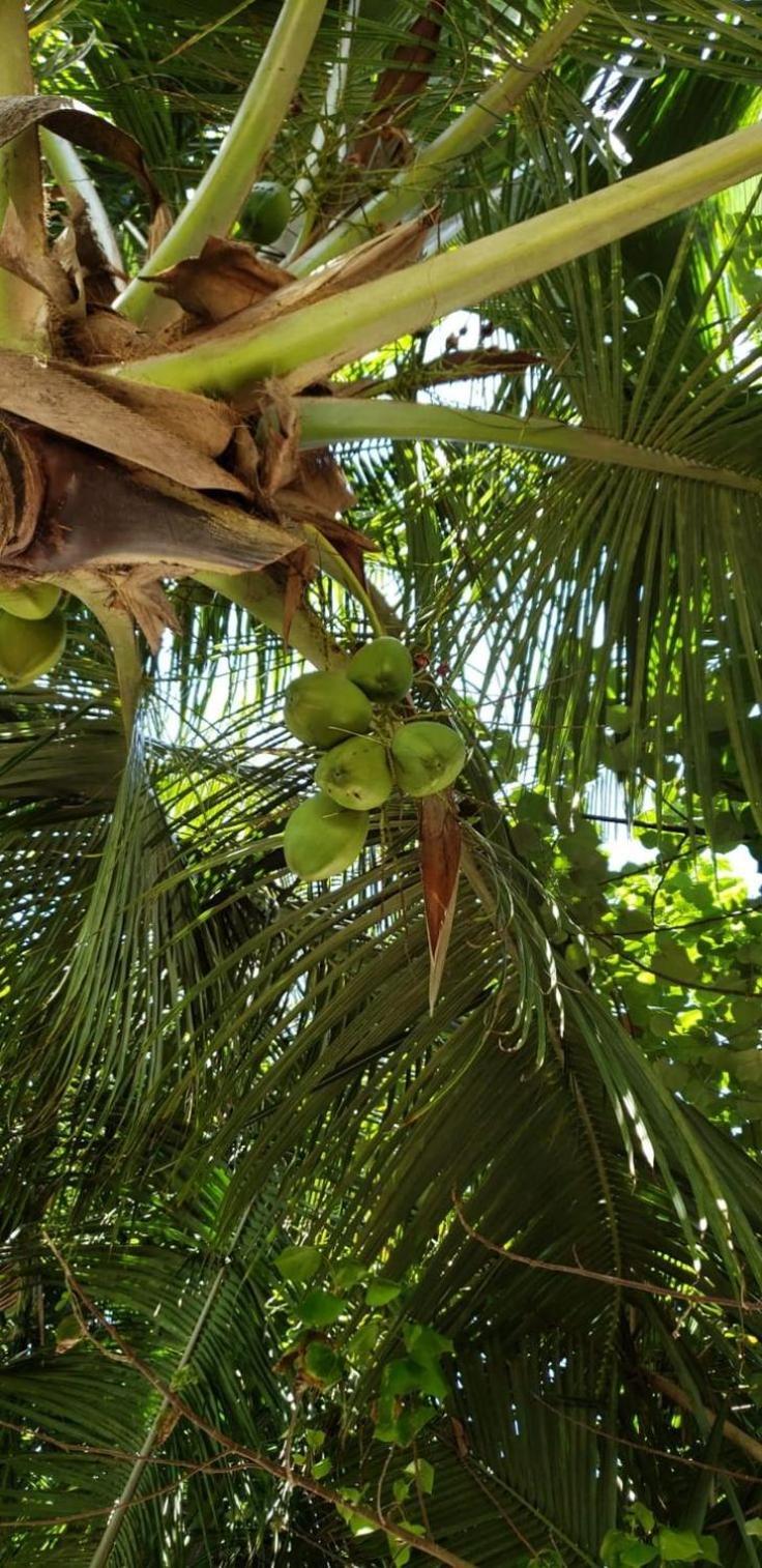 Tiwi Beach Resort & Spa Mombasa Bagian luar foto